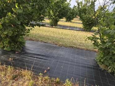 Baštenski alati i oprema: 2,1mx50m-Agrotekstil folija-prostirka za suzbijanje korova bez — 5