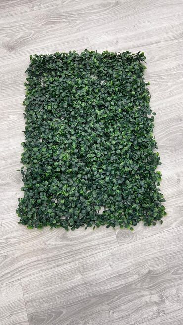 Digər ev dekoru: 5 man baslayan qiymetler Minumal qiymetler topdan ve perakenden satis -da lalafo.az — 19 Digər ev dekoru: 5 man baslayan qiymetler Minumal qiymetler topdan ve perakenden satis — 19