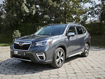 субару форестер 2018: Subaru Forester: 2019 г., 2.5 л, Вариатор, Бензин, Кроссовер