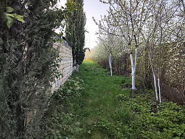 xirdalanda kiraye evleri: 7 sot, Tikinti, Mülkiyyətçi, Kupça (Çıxarış) — 5