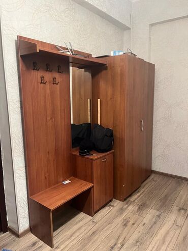 dehliz guzgusu: İşlənmiş, Açılan, 2 qapılı Düz dolab, Dəhliz dolabı