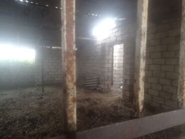 Torpaq sahələrinin satışı: 400 sot, Kənd təsərrüfatı, Maklerlər narahat etməsin — 17