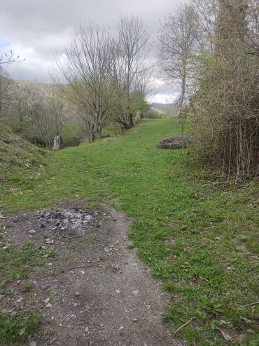 Torpaq sahələrinin satışı: Satılır: təbiət qoynunda yaşıllıqla əhatələnmiş torpaq sahəsi — 7