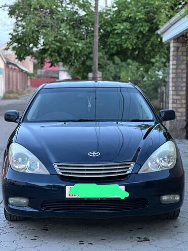 стоп виндом: Toyota Windom: 2002 г., 3 л, Автомат, Газ, Седан