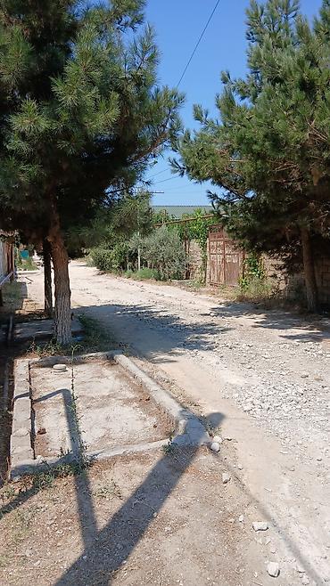 lan: 3 sot, Tikinti, Barter mümkündür, Bələdiyyə — 2