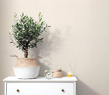 Виниловые обои: ✨ ОБОИ от 1350 сом! 🔥 Более 1000 дизайнов в наличии 🌟 Фотообои | — 10