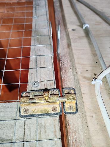 İnkubatorlar: Taxta inkubator/qızdırılan brooder qutusu - Material: fanera taxta — 7