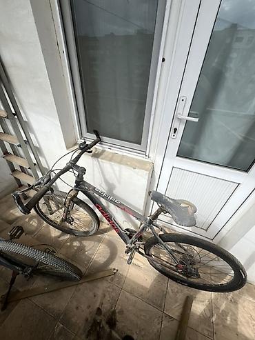 İdman velosipedləri: Şəhər və yüngül off-road üçün universal velosiped. Xüsusiyyətlər: - — 2