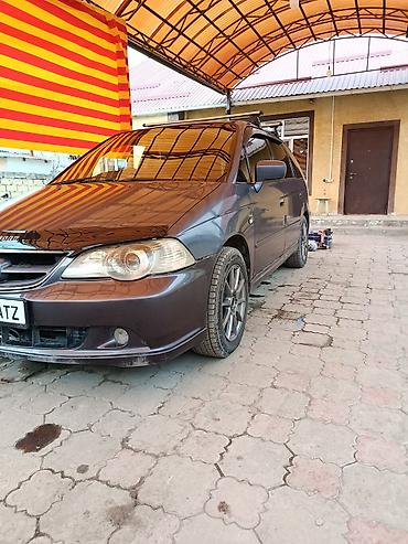 odyssey absolute: Honda Odyssey: 2003 г., 3 л, Автомат, Газ, Минивэн — 2