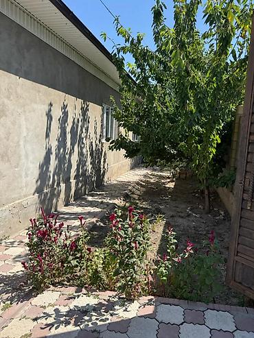 Продажа коттеджей и домов: 🏡 ПРОДАЁТСЯ ДОМ С УЧАСТКОМ 📍 с. Джал, Ленинский район, Бишкек Дом — 5