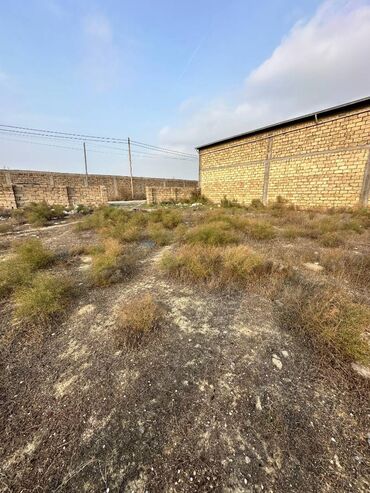 Torpaq sahələrinin satışı: 30 sot, Kənd təsərrüfatı, Makler, Kupça (Çıxarış), Texniki pasport -da lalafo.az — 5 Torpaq sahələrinin satışı: 30 sot, Kənd təsərrüfatı, Makler, Kupça (Çıxarış), Texniki pasport — 5