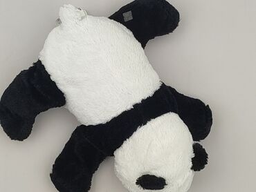 Mascot Teddy bear, condition - Very good