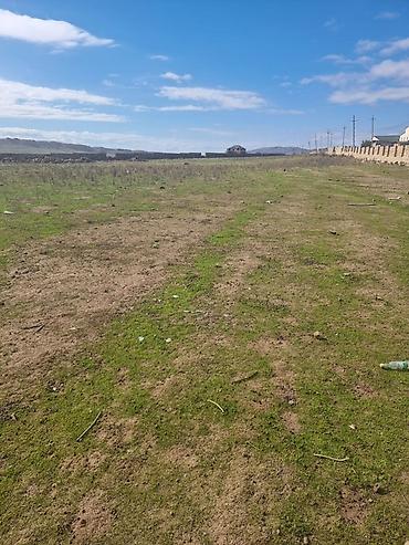 çeşqa satışı: 500 sot, Tikinti, Makler, Kupça (Çıxarış) — 1
