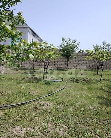 şəmkir torpaq satılır: 12 sot, Kənd təsərrüfatı, Barter mümkündür, Kupça (Çıxarış) — 5