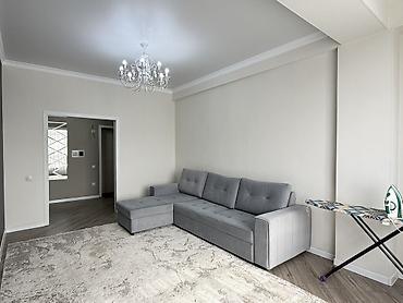 Долгосрочная аренда квартир: 1 комната, Собственник, С мебелью полностью — 1