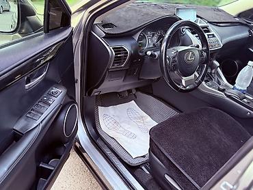 Lexus: Lexus NX: 2016 г., Кроссовер — 8