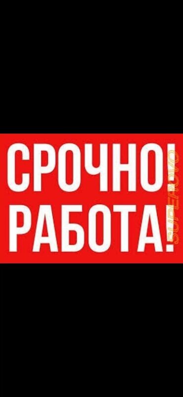 грузоперевозки бишкек москва in Кыргызстан | ГРУЗОВЫЕ ПЕРЕВОЗКИ: Требуется специалисты по стройке. Сантехники,сварщикикафельщики