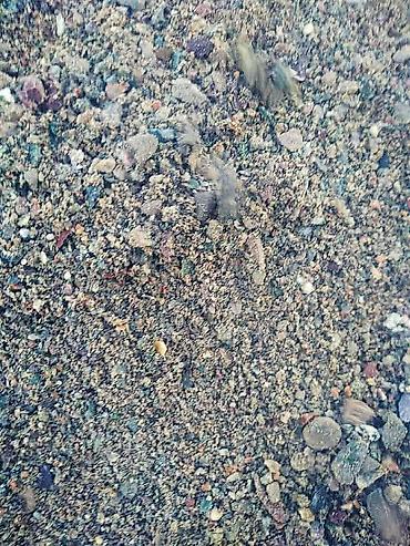 Песок: Отсев щебень смесь песок. Отсев используется для стяжки сейсмопояса — 4