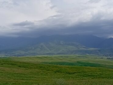 насос для воды бишкек цена: Куплю силос .от Кантадо Манаса,до сокулука