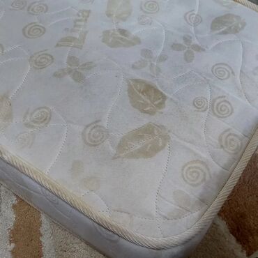 Пылесосы: Пылесос, Karcher, Моющий, Влажная, Паровая, Смешанная, Контейнер, Циклонный фильтр — 7