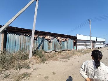 офисный контейнер: Срочно продаю готовые контейнеры под магазин,дом,аптеку,и тд — 2