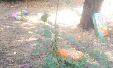 Декоративная роспись: Распишин все что захотите — 11