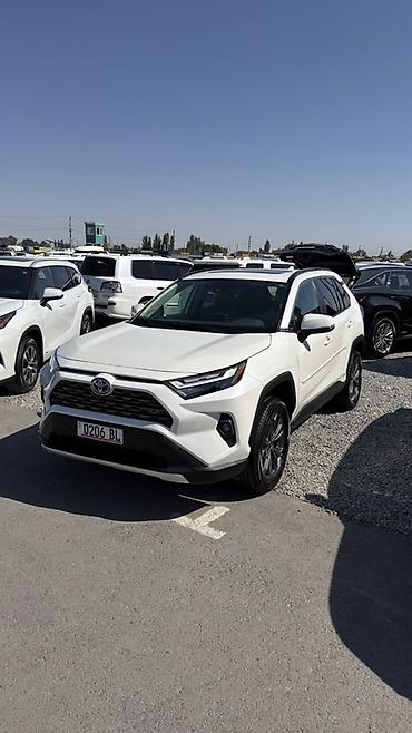 Toyota RAV4: 2022 г., 2.5 л, Автомат, Гибрид, Кроссовер