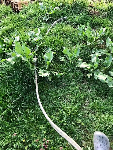 Ostala elektronika: Dalekovodni visokonaponski petozilni kabl sa sajlom debeo tezak tacno — 7