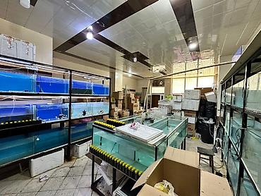 caravan satışı: Satılır obyekt 65 m², Neftçilər m. 142 000 AZN 65 m² Sahə Çıxarış — 1