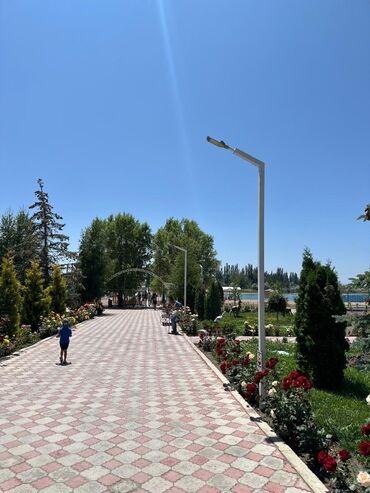 дом под бизнес продаю: 2 бөлмө, Чогуу жашоосу жок, Толугу менен эмереги бар