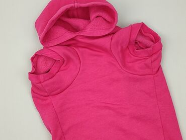 Bluza z kapturem dla psa amiplay – model Texas - Kolor: różowy -
