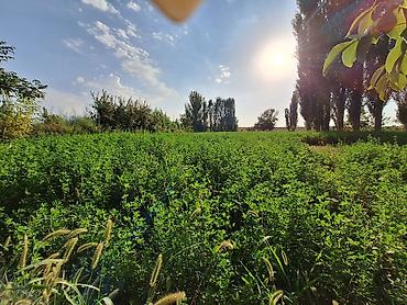 кредит акча: 22 соток, Для строительства, Тех паспорт — 3