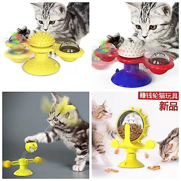 Зоотовары: ПРОДАЮ КОШАЧЬЮ МЯТУ(АНТИСТРЕСС),ПОРАДУЙТЕ СВОГО КОТИКА ТАКОЙ — 16