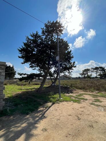 Torpaq sahələrinin satışı: Tikinti, Barter mümkündür — 9