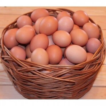соль для животных: Продаю яйца домашние по 10 сом/ шт. Кара- Балта