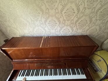 Pianolar: Piano, Akustik