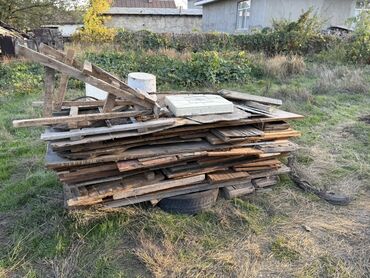 купить красную дорожку: Трава заберайте даром