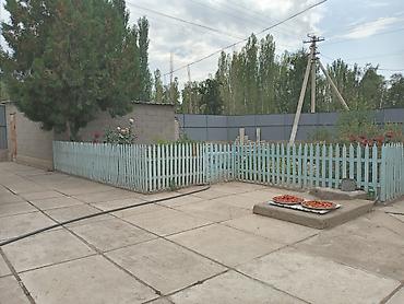 Продажа коттеджей и домов: Талас Алексеевкадан 6- комнаталуу там сатылат, бакчада алма, орук — 7