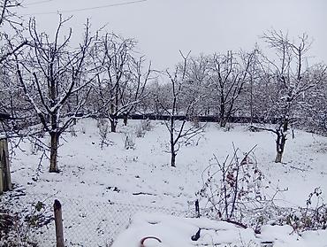 Torpaq sahələrinin satışı: 12 sot, Tikinti, Makler, Müqavilə — 9