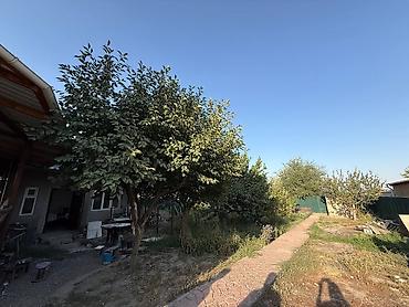 петровка кыргызстан: 5 соток — 3
