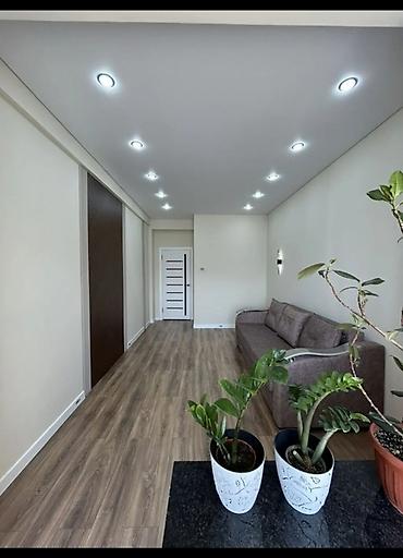 15: 2 комнаты, 52 м², Технопарк Элитка, 15 этаж, Евроремонт — 3