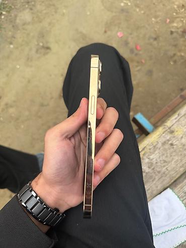 16 iphone: IPhone 13 Pro Max, 128 GB, Rose Gold — 1