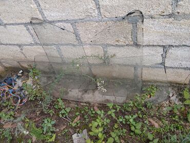 Топливные системы: Məhsul: Avtomobil ehtiyat hiseleri zapi