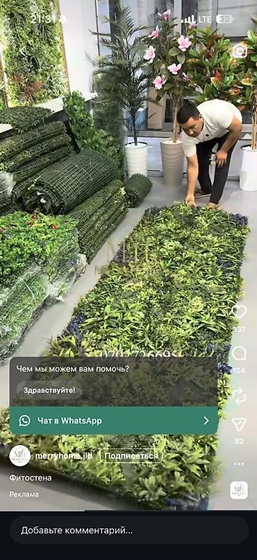 фито стена: Искусственная фитостена/панели с густой зеленью - Модульные панели на — 2