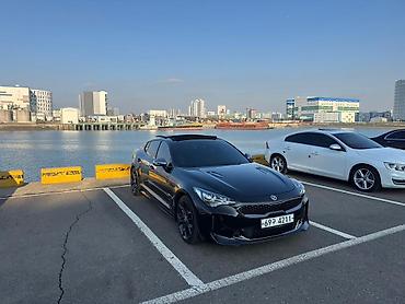 Kia: Kia Stinger: 2019 г., 2 л, Автомат, Бензин, Хэтчбэк — 8