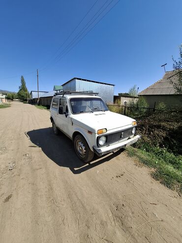 ВАЗ (ЛАДА): ВАЗ (ЛАДА) 4x4 Нива: 1989 г., 1.7 л, Механика, Бензин, Универсал