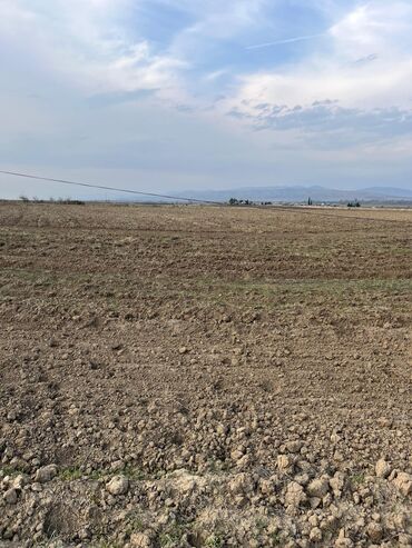 Torpaq sahələrinin satışı: Kənd təsərrüfatı — 21