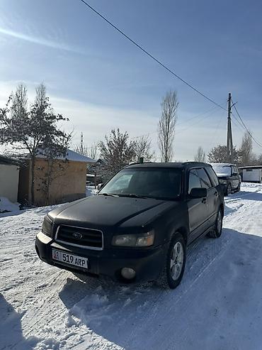 Subaru: Subaru Forester: 2003 г., 2.5 л, Автомат, Газ, Кроссовер — 8