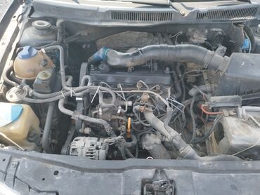 рольф: Volkswagen Golf: 2002 г., 1.9 л, Механика, Дизель, Хэтчбэк