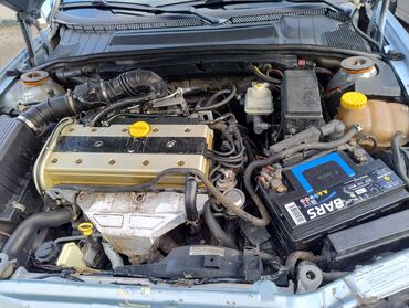 Opel: Opel Vectra: 1.8 l | 1997 il 2028 km Sedan — 8